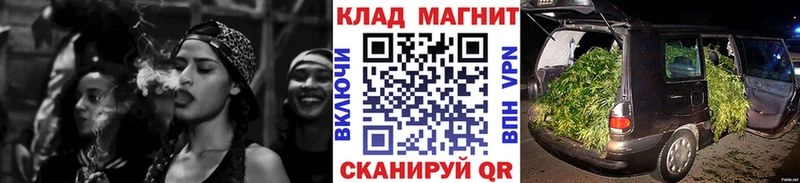 Где купить Талица COCAIN  Псилоцибиновые грибы  A-PVP  Бошки Шишки  LSD-25  МЕФ 
