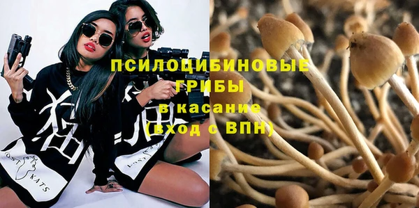 spice Няндома
