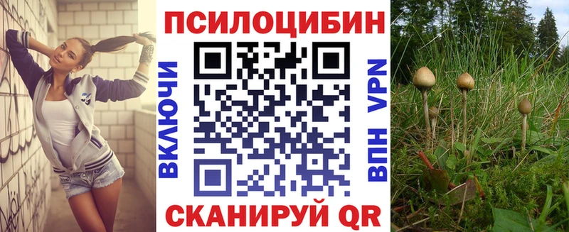 кракен tor  Талица  Галлюциногенные грибы мухоморы 